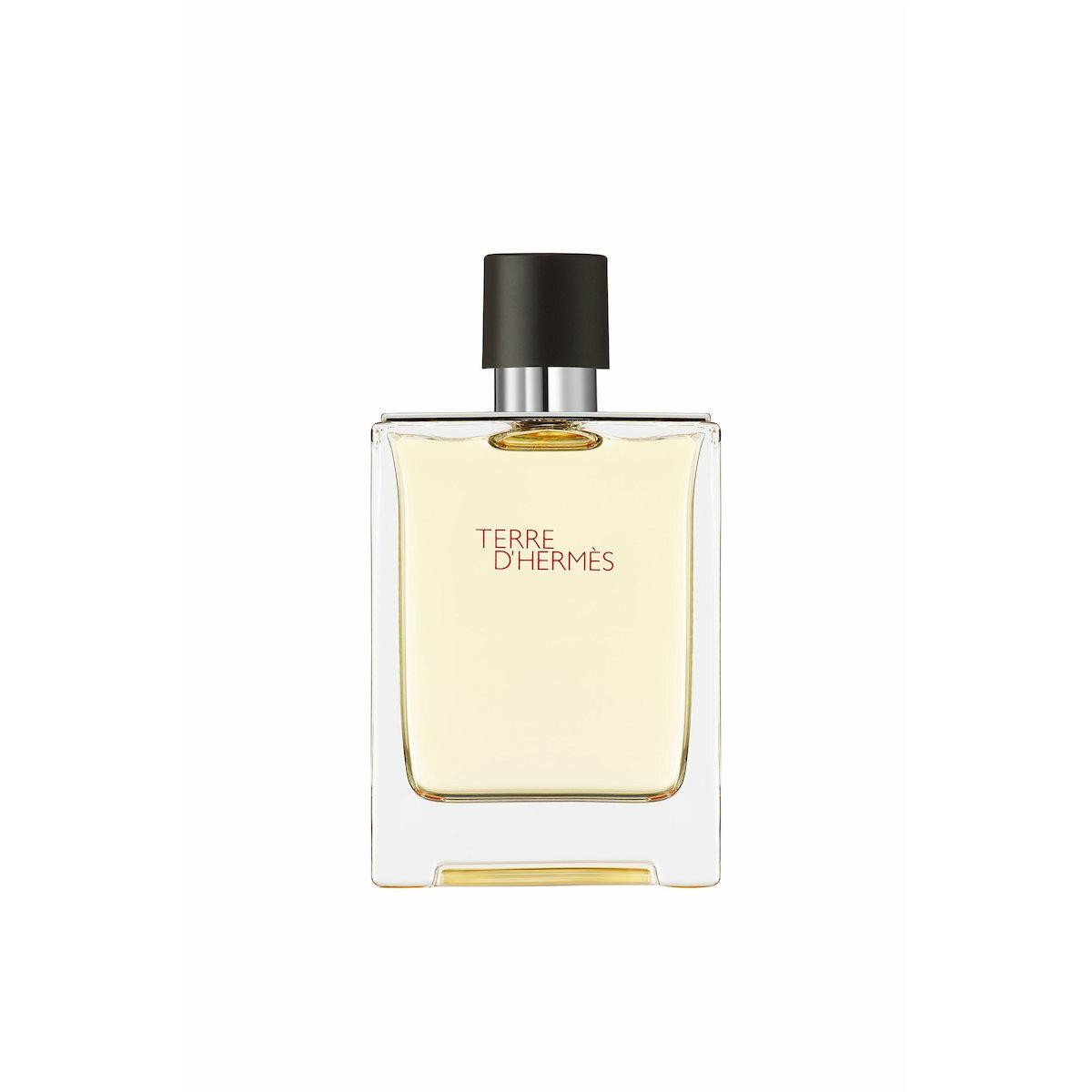 Hermes Terre D' Hermes Eau de Toilette 100ml