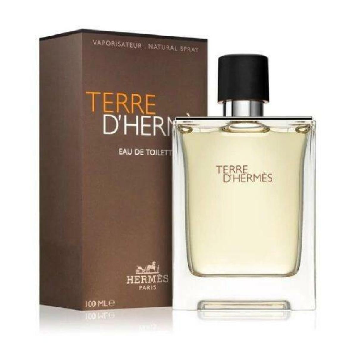 Hermes Terre D' Hermes Eau de Toilette 100ml