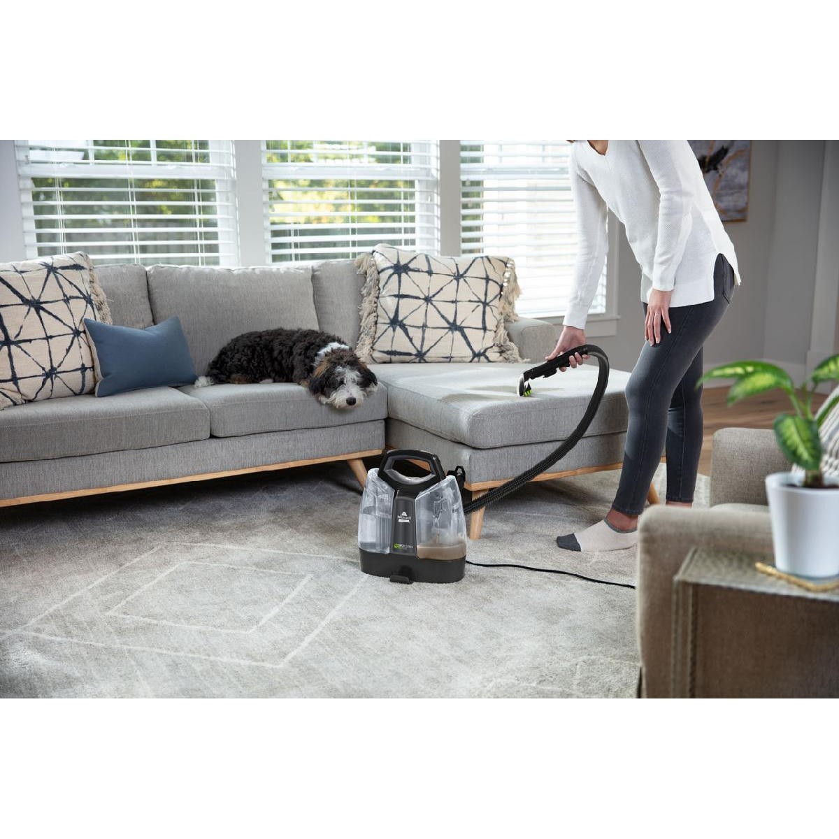 Bissell 37241 SpotClean Pet Plus portable carpet καθαριστής λεκέδων 330 watt